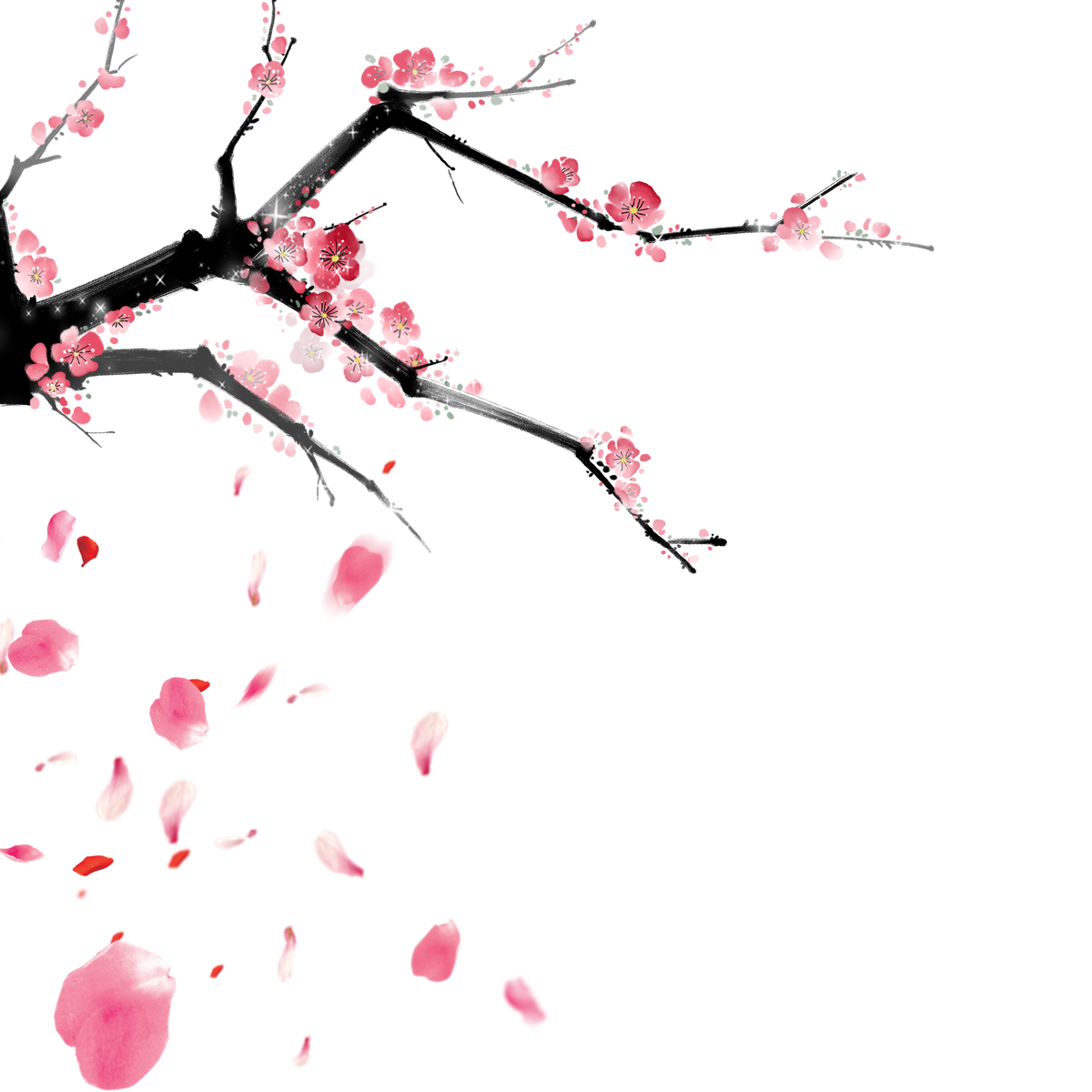 Petal Cherry Blossom Flower - Petal Cherry Blossom Flower (1200x1200)
