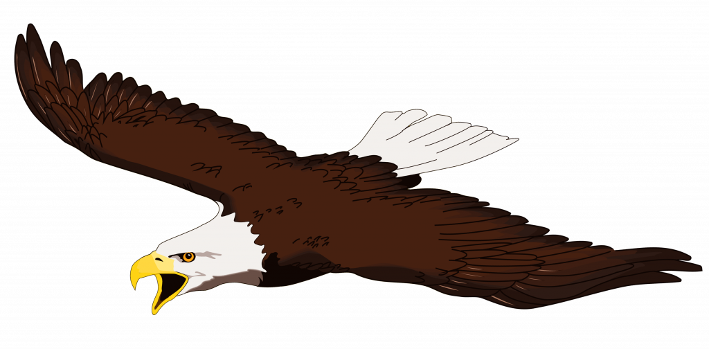 Download Stunning Soaring Eagle Clip Art Free - Download Stunning Soaring Eagle Clip Art Free (1024x504)