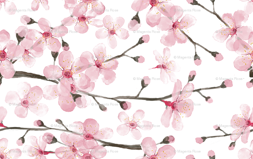Cherry Blossom Watercolor // Cherry Blossom Floral - Cherry Blossom Cartoon Background (859x541)