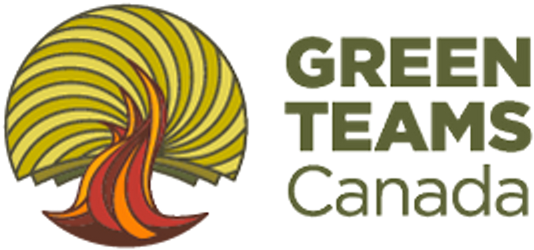 Https - //a248 - E - Akamai - Net/secure - Meetupstatic - Great Teams: 16 Things High Performing Organizations (600x300)