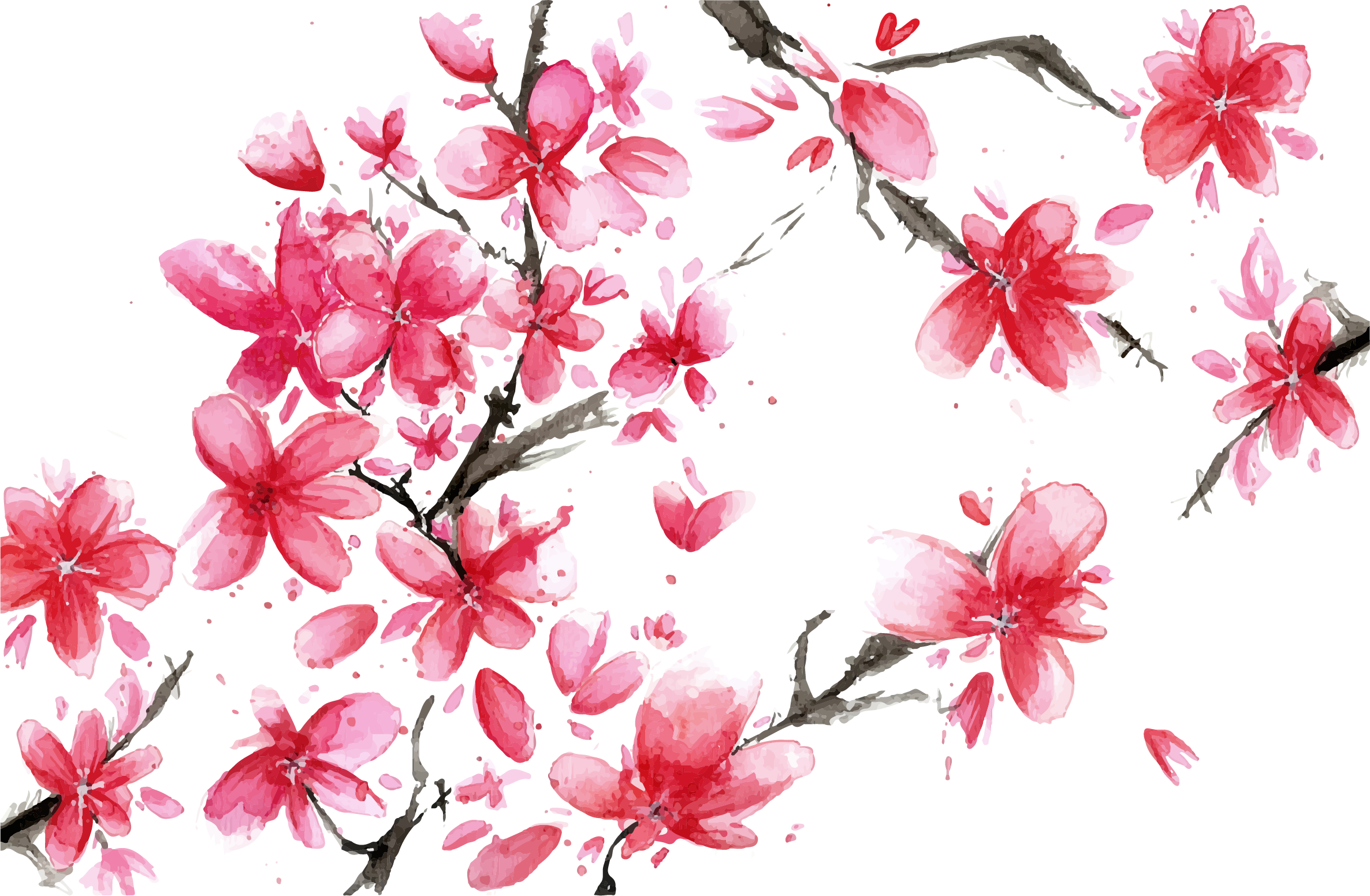 Paper Cherry Blossom Notebook - Cherry Blossom Bullet Journal (2372x1551)