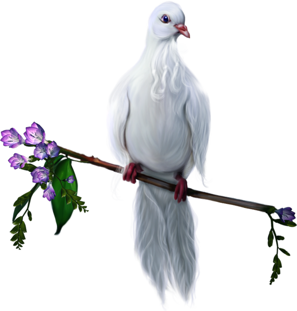 Bird Domestic Pigeon Clip Art - Bird Domestic Pigeon Clip Art (600x630)