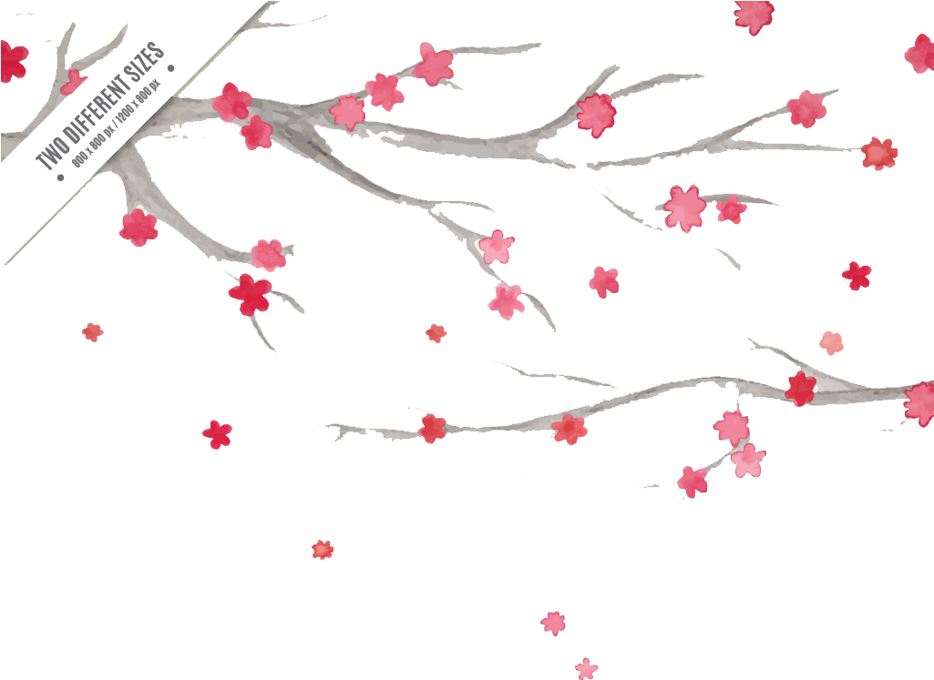 Watercolor Painting Cherry Blossom - Watercolor Painting Cherry Blossom (1024x765)