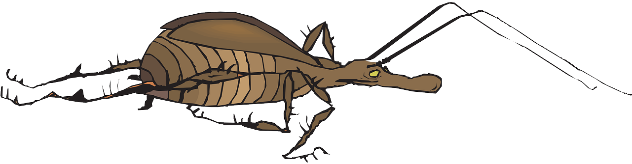 Insect Antenna Clip Art - Insect Antenna Clip Art (1280x640)