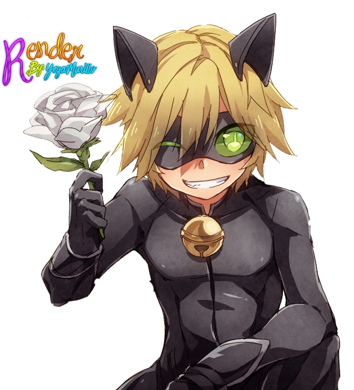 Adrien Agreste Black Cat Kitten Online Chat - Ladybug Anime Chat Noir (762x762)