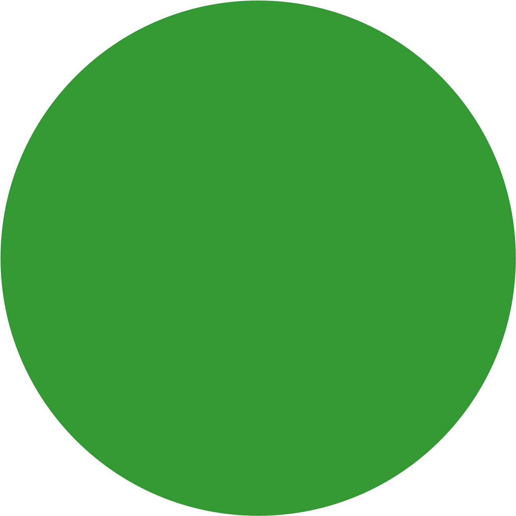 Green Circles Delli Beriberi Co Rh Delli Beriberi Co - Animated Green Circle (2000x2000)