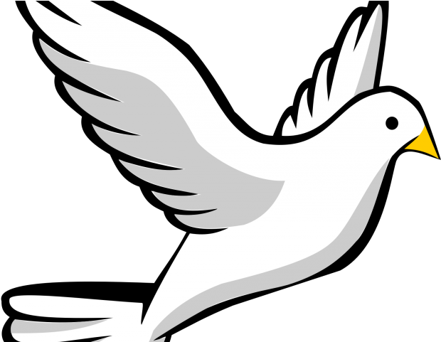 White Dove Clipart Easy - Transparent Background Dove Clipart (640x480)