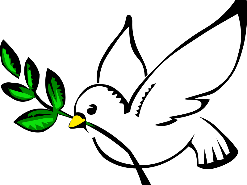 Dove Clip Art - Peace Dove (800x600)