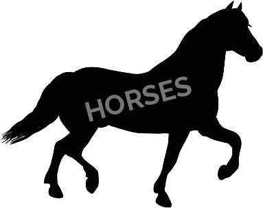 Horse - Horse Clip Art Silhouette (409x324)