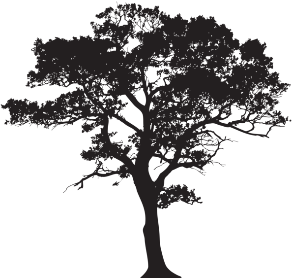 Silhouette Tree Png Clip Art Image - Silhouette Of A Tree Png (600x575)