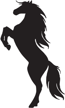 Silhouette Of A Horse On Hind Legs - Rearing Horse Silhouette (451x451)