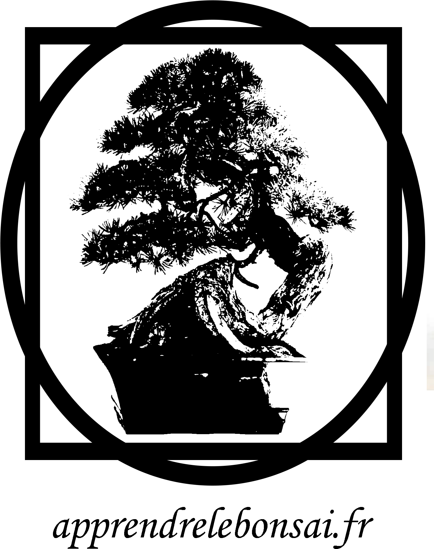 Apprendre L'art Du Bonsaï - Engl Powerball I Tubes (2000x2000)