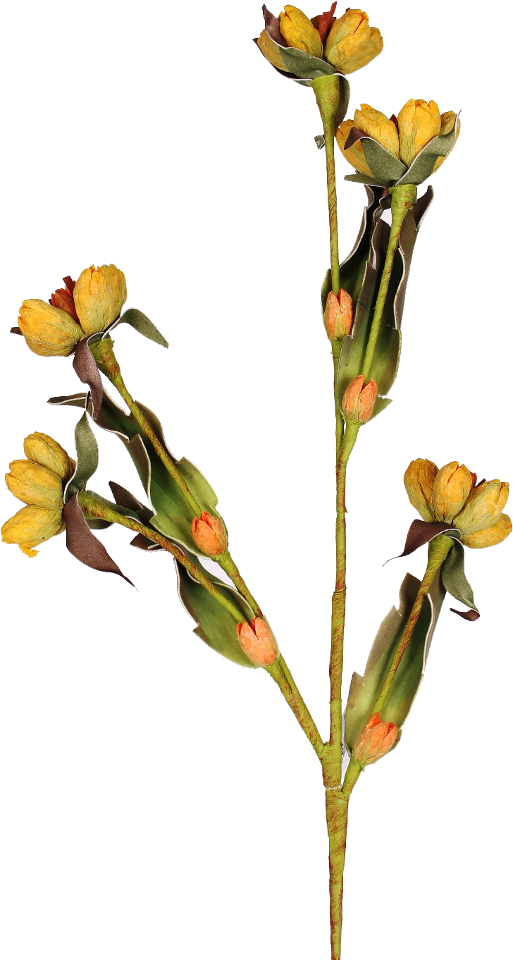Yellow Rhododendron Stem - Rhododendron (762x1375)
