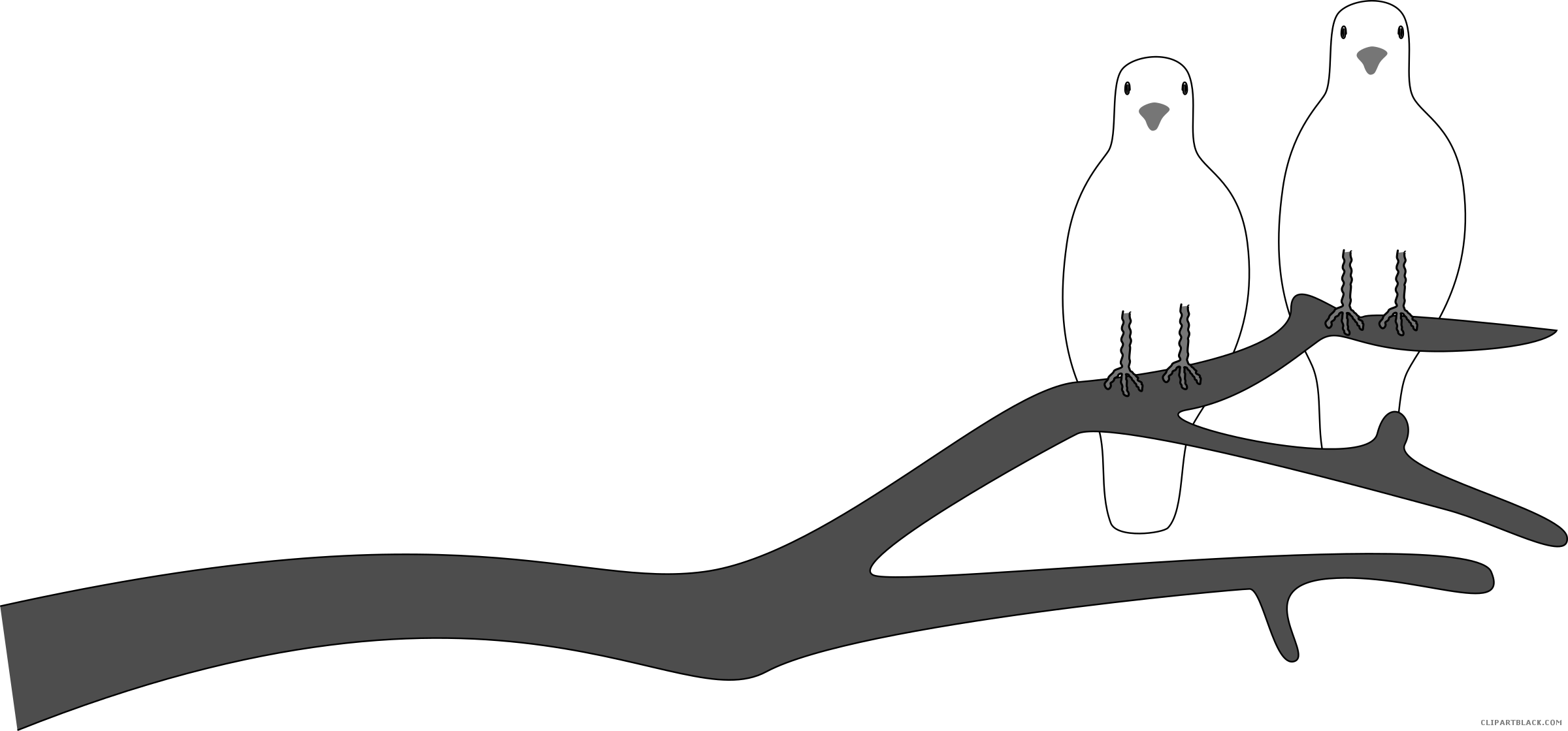 Dove Animal Free Black White Clipart Images Clipartblack - African Grey (2400x1120)