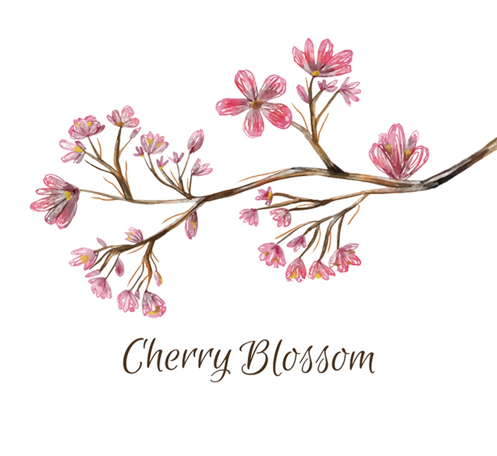National Cherry Blossom Festival - Cherry Blossom (1024x988)