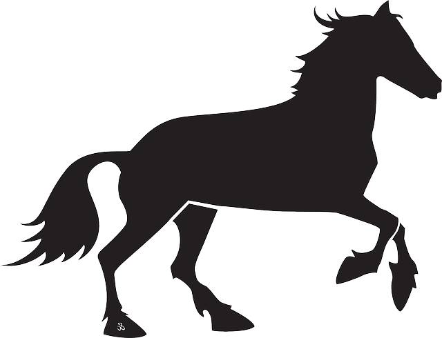 Black, Silhouette, Transportation, Horse, Running - Pferd Schwarz Weiß Clipart (640x490)