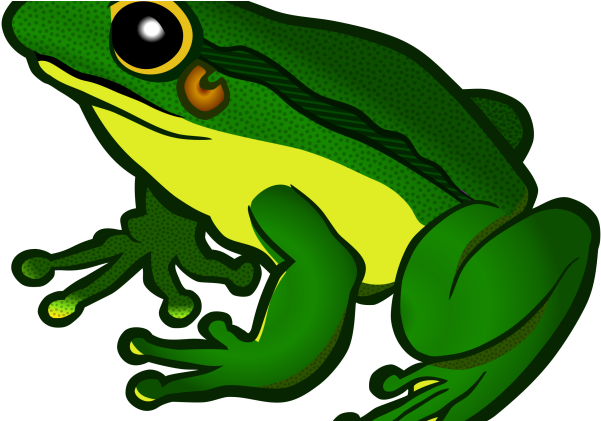 Cartoon Bear Clipart - Lifecycle Of A Reptile (640x420)