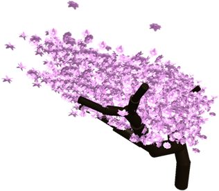 Cherry Blossom Tree - Illustration (420x420)