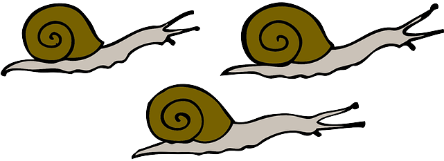 Movement, Snails, Moving, Slow, Shells, Slime - Snails Clipart (640x320)