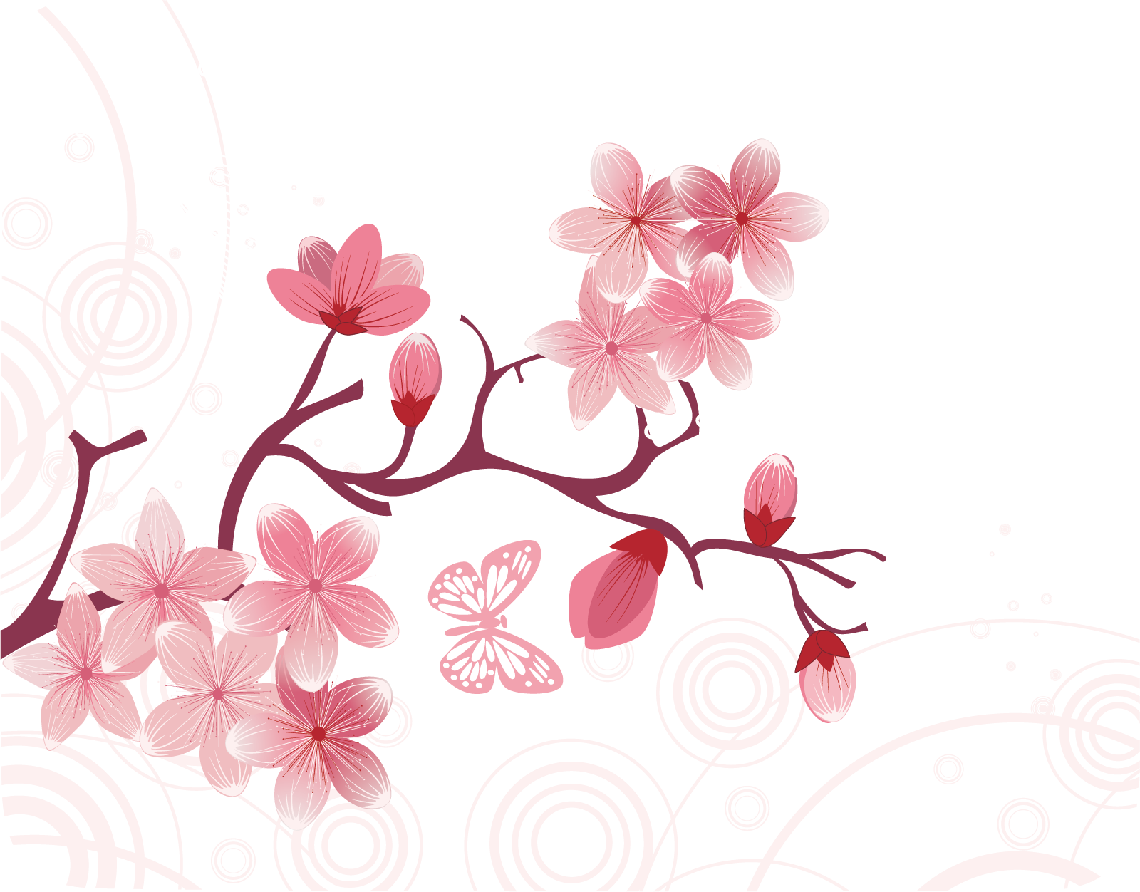 National Cherry Blossom Festival Euclidean Vector - Japanese Cherry Blossom (1600x1252)