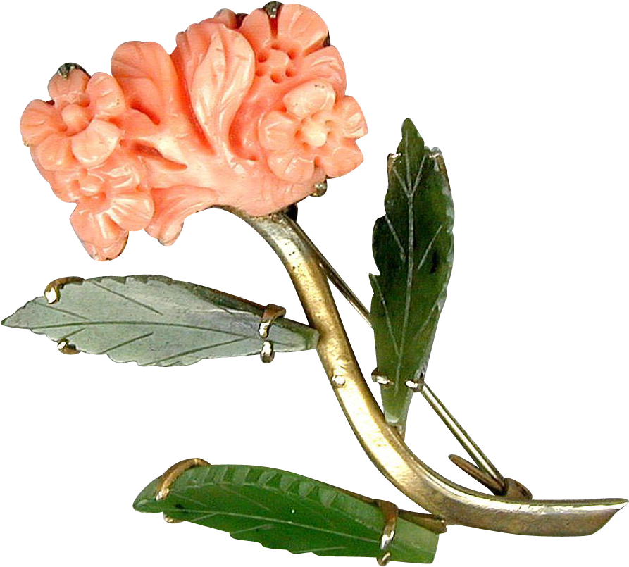 Carved Angel Skin Coral - Southern Magnolia (892x892)