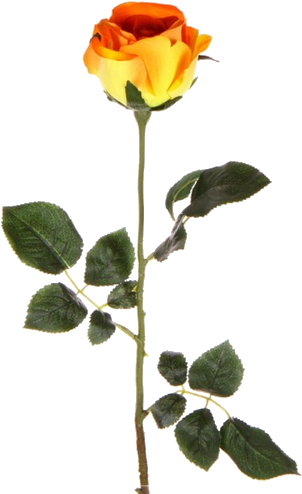 Rosa Anaranjado Y Amarillo (350x500)