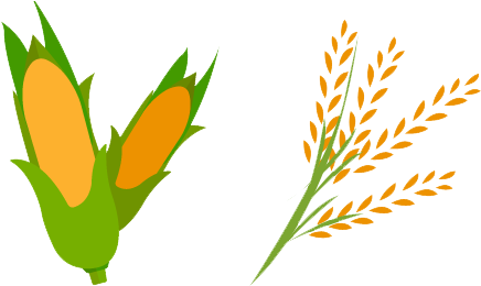 The Only Diet Revealed, Japanese Black Wagyu Cattle - Rice Stalks Png Hd (460x274)