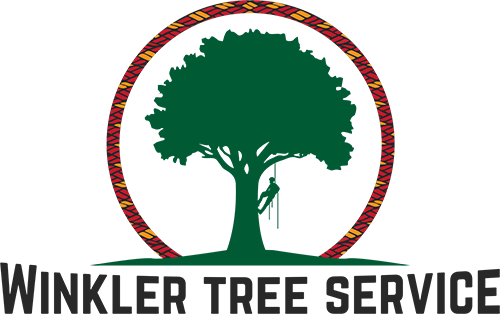 Tree Service Clip Art - Tree (500x314)