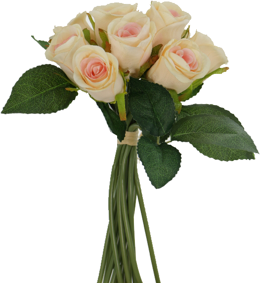 Peach Pink Rose Bouquet - Peach (532x578)