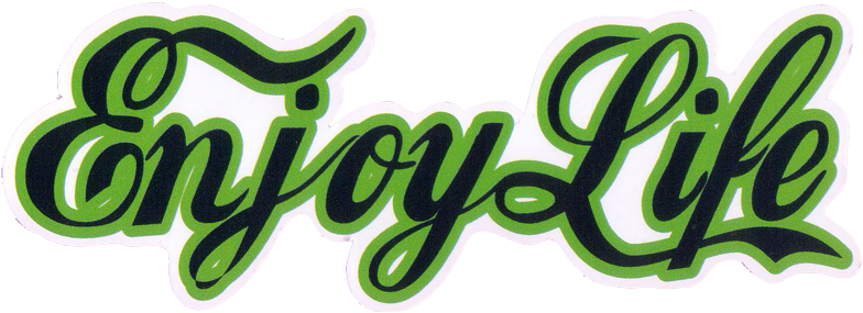 Small Bumper Sticker / Decal - Enjoy Life Sticker (800x298)
