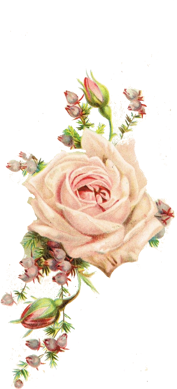 Roses, Vintage Printable - بطاقة دعوة جاهزة للكتابة عليها (640x1600)