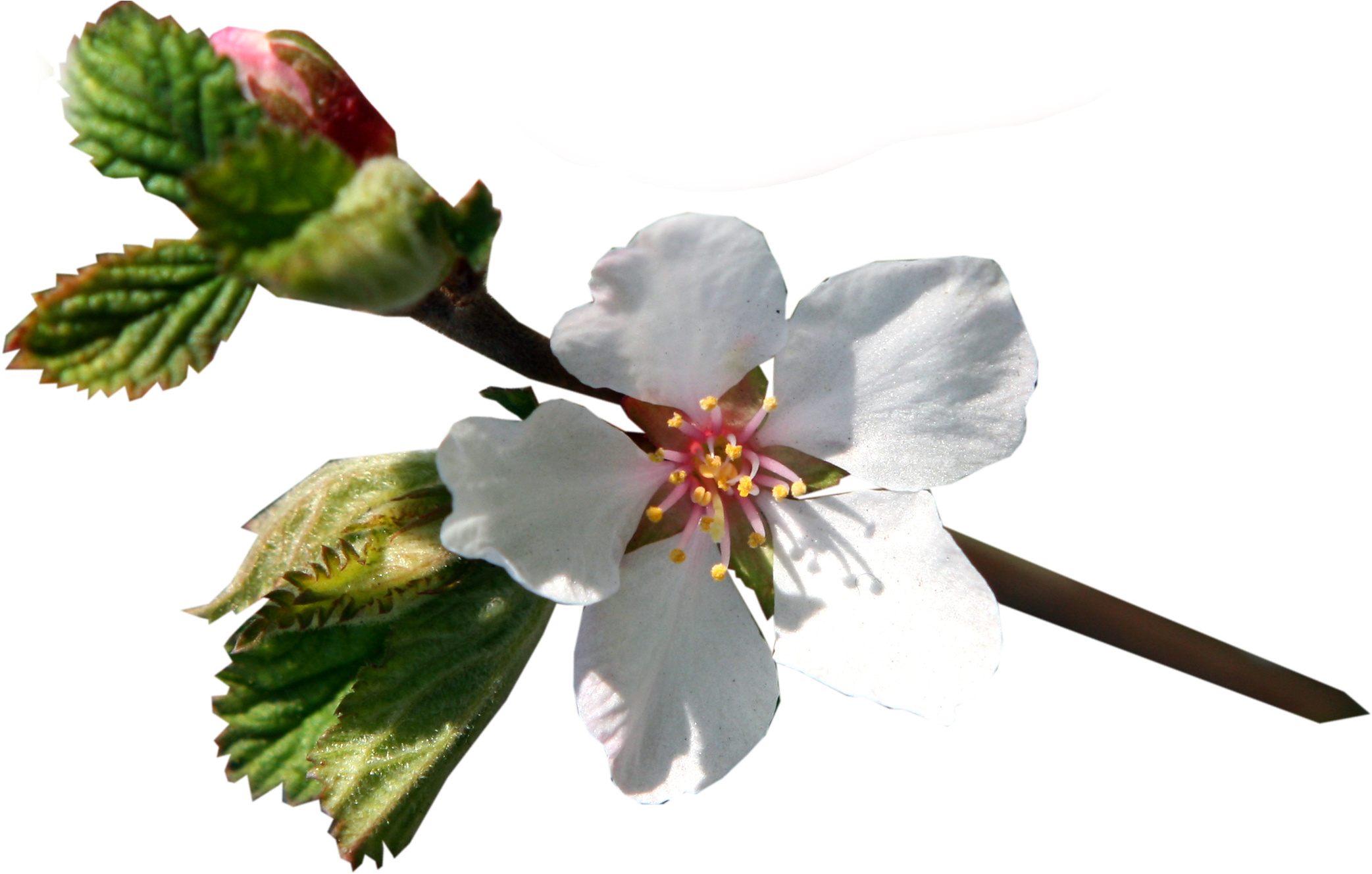 Kg Clip Art - Kg Clip Art (2111x1334)