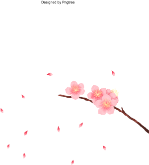 Vector Cherry Blossom In Spring Time, Vector Cherry - Cherry Blossom (360x360)