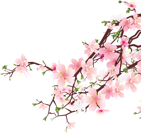 Cherry-blossoms 1 - Passages Of Love (503x593)