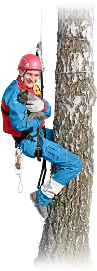 Окончательная Стоимость Оговаривается После Выезда - Snow (342x945)