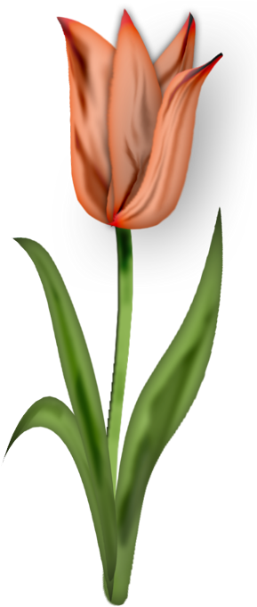 Bouquet Of 20 Purple & Lavender Fabric Violets ~ Czech - Flower Animated Gif Download (296x683)