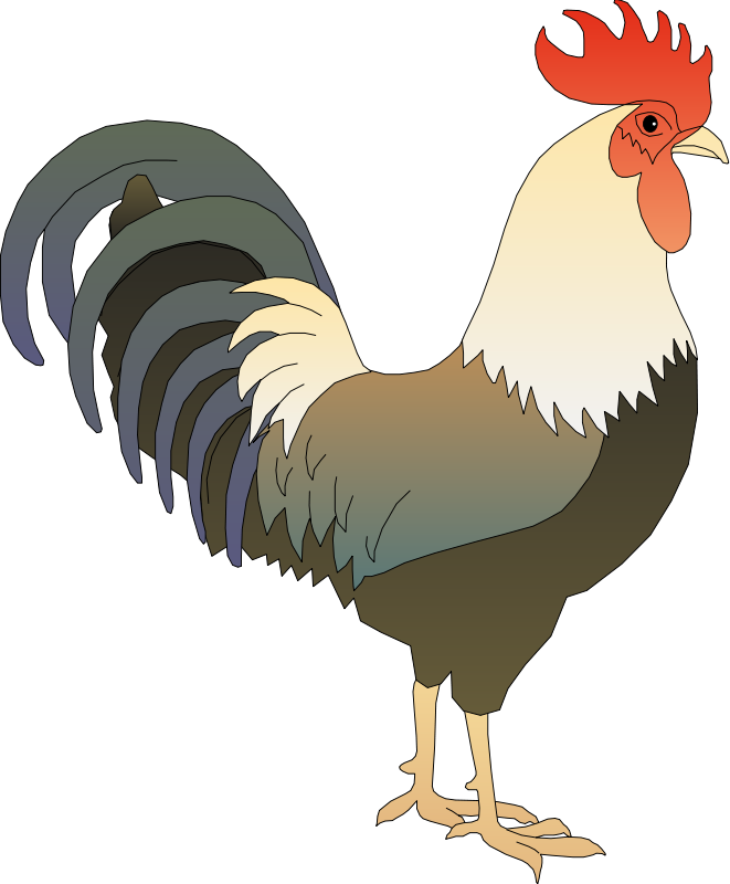 Rooster Clipart - Rooster Shower Curtain (661x800)