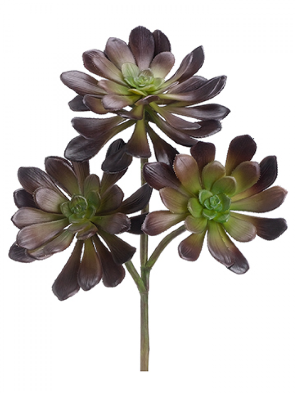 19" Echeveria Burgundy - Artificial Flower (800x800)
