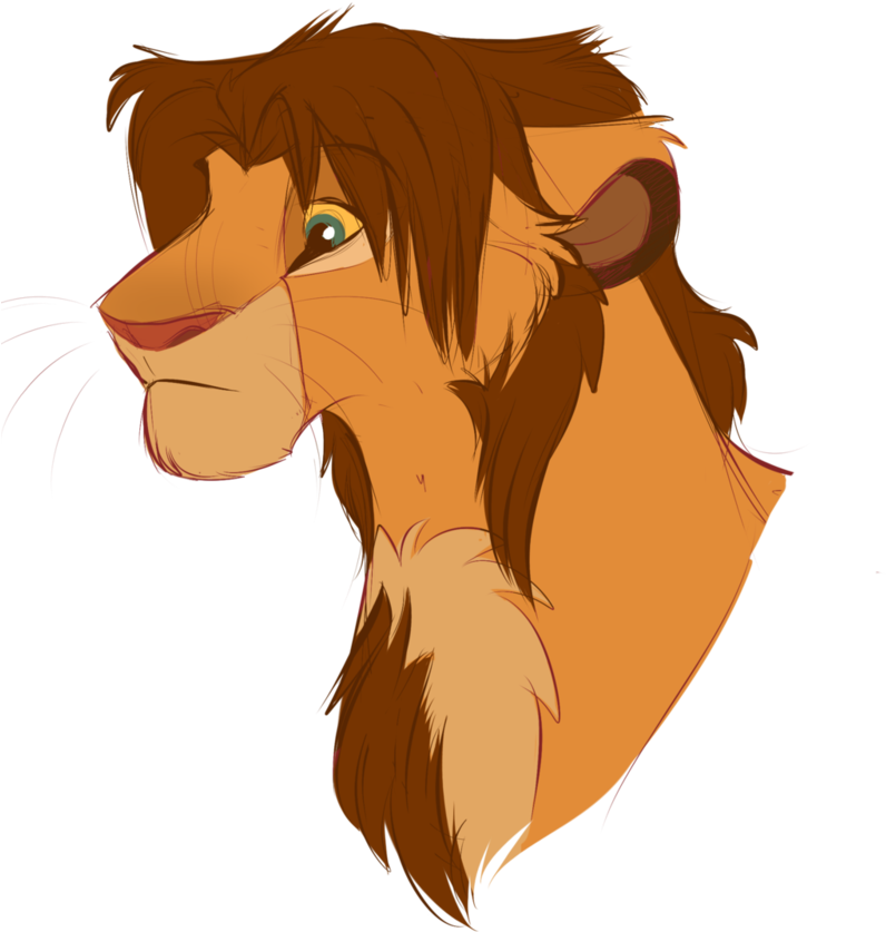 Kopa By Mganga The Lion - Lion King Teen Kopa (800x1000)