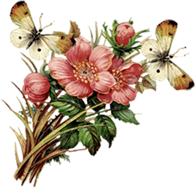 Condolence Book Condolences Sympathy Greeting Card - Condolence Book Condolences Sympathy Greeting Card (600x600)