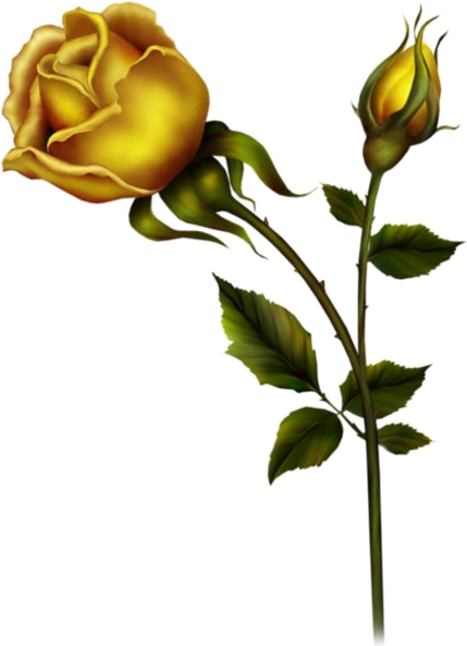 Rosas Amarillas - Metal Rose Png (428x600)