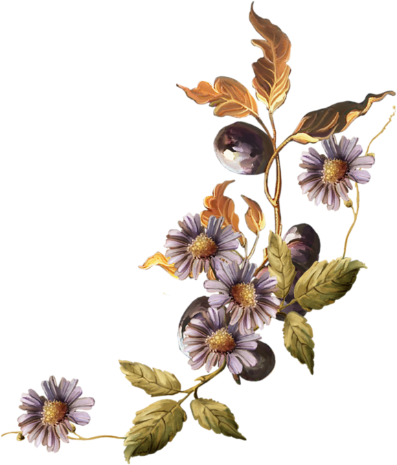 Bokmxe4rke - Purple Chrysanthemum - Bokmxe4rke - Purple Chrysanthemum (600x704)