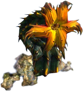 116766amber - Bromelia (427x496)