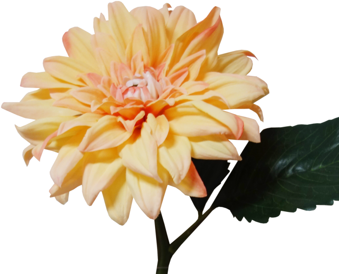 28cm Dahlia - Artificial Flower (800x600)