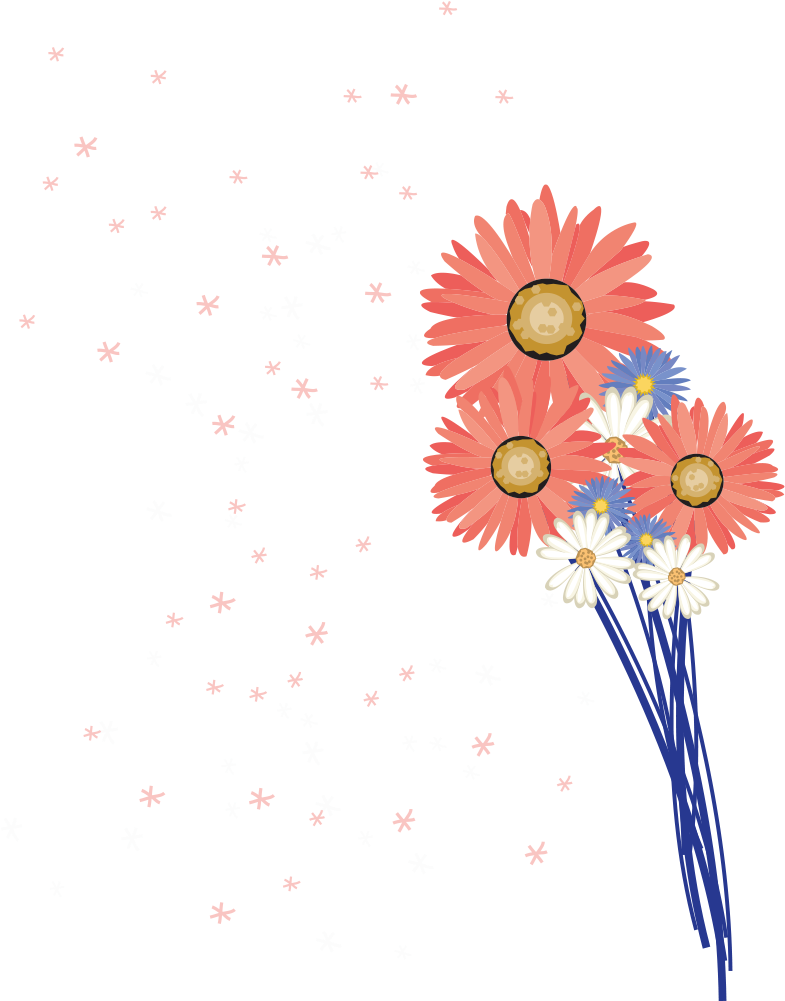 Flower - Pink Gerbera - Flower - Pink Gerbera (1000x1000)