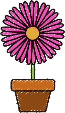 Flower In A Pot Illustration - Common Sunflower (550x550)