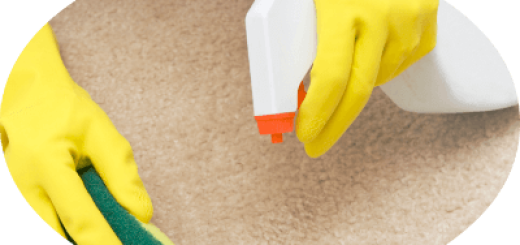 Find The Perks Of Hiring A Pro, To Clean Your Commercial - Cleaning And Stain Removal For Dummies, Mini Edition (520x245)