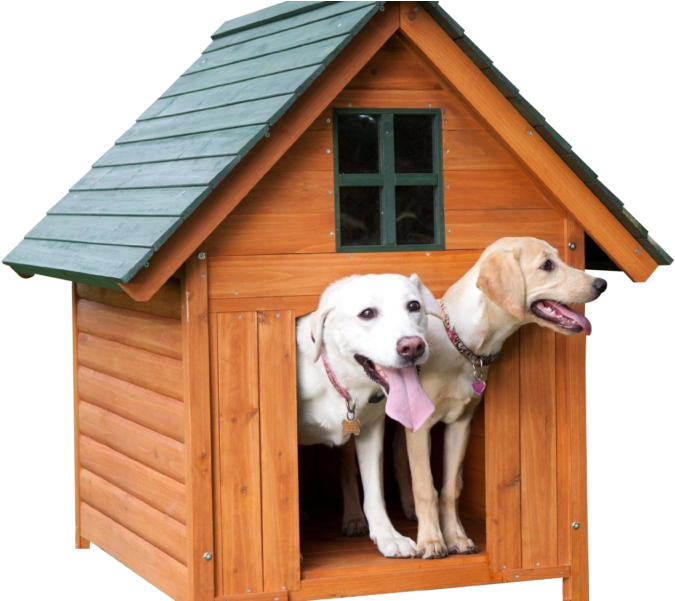 Dog House Png Image - House Dog Png (800x600)
