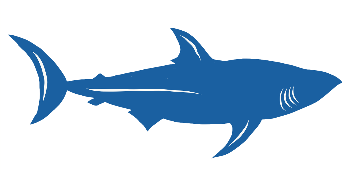 This Simple Unlabeled Bumpersticker Depicts The Iconic - Shark (1223x601)
