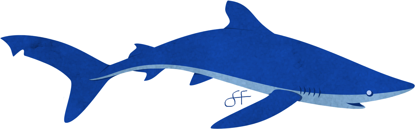 Requiem Sharks Great White Shark Blue Shark Pyjama - Blue Shark (1420x483)